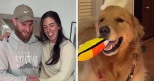 Golden Retriever Wally Steals The Show By Joining Bride & Groom’s Wedding Dance