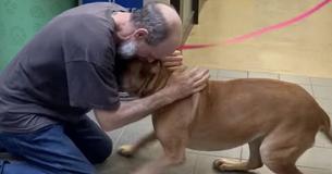 After 750 Days Apart, Cancer Survivor Re-Adopts the Dog He Was Forced to Surrender