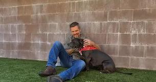Matt Damon Goes on His First Date in 23 Years — With a Pit Bull Named Betsy Who Has Been Waiting 18 Months for a Home