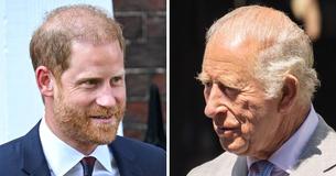 Archie and Lilibet Share a Private Royal Reunion With King Charles