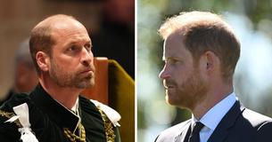 Prince Harry Reunites With King Charles, but His Rift With Prince William Reportedly Remains