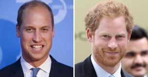 King Charles Has One Wish for His Sons Harry & William & Sources Say Harry's UK Return Is the Best Chance in Years to Make It Happen