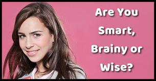 Are You Smart, Brainy or Wise?