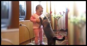 Mama Cat Steals Crying Kitten Back From Toddler