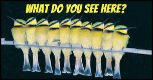 When Did You See It?