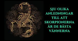 Sju Olika Anledningar Till Att Skorpionerna Är De Bästa Vännerna