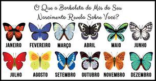 Descubra Qual a Borboleta do Seu Mês e o Que Ela Revela Sobre Você