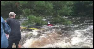 Man Sees Dog Clinging To Tree In Rushing Water So He Ties Yellow Rope Around Himself And Swims Out To Help