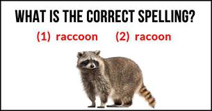 This Spelling Test Is Driving The Internet Wild