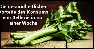 Transformiere Deinen Körper, indem Du eine Woche lang Sellerie isst