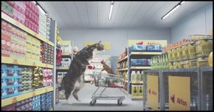 This German Grocery Store Has Produced The Funniest Cat Ad In The World…And You Will Love Every Second 