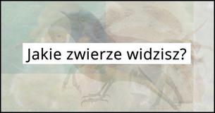 Pierwsze zwierzę, jakie dostrzeżesz na tym zdjęciu zdradzi, jakim typem człowieka jesteś