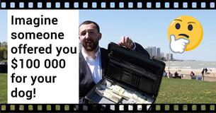 Would You Sell Your Family Dog? What If Someone Offered You $100 000?
