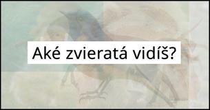 Podľa toho, aké zviera na fotografii uvidíš, sa dozvieš, aký typ človeka si