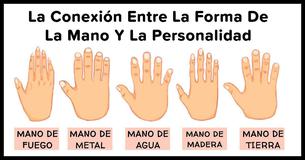 Cómo Se Relaciona Tu Personalidad Con La Forma De Tus Manos
