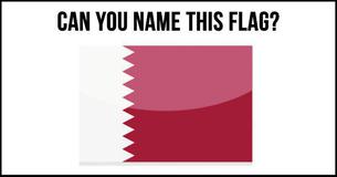 Guess That Flag #8