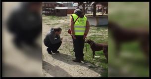 Little Dog Was Lost And Lonely For Years, Watch The Heart-Wrenching Moment She Smells A Familiar Smell