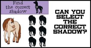 Tough Shadow Brainteaser #6: Can You Find The Correct Shadow?