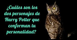 ¿Cuáles dos personajes de Harry Potter conforman tu personalidad? 