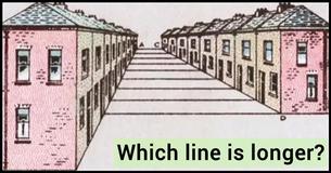Awesome Optical Illusions Test