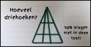 Hoeveel driehoeken kun jij vinden in deze uitdagende hersenbreker?