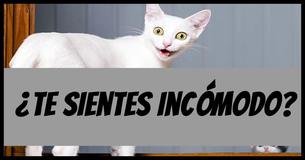 ¿Te sientes incómodo?
