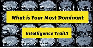 What Is Your Most Dominant Intelligence Trait?