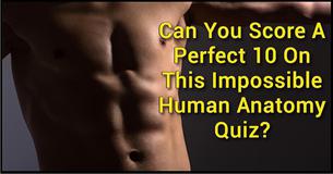 No One Can Score A Perfect 10 On This Impossible Human Anatomy Quiz