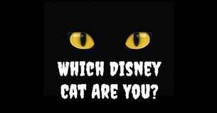 Which Disney Cat Are You?