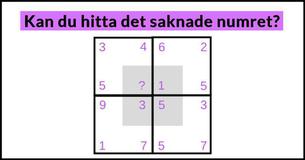 Lurig Matematisk Brainteaser #12: Kan Du Lösa Detta?