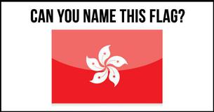 Guess That Flag #10