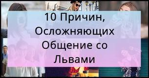 10 Причин, Осложняющих Общение со Львами