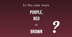 What Does The Way You See Color Say About You?