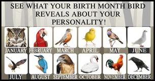 What Does Your Birth Month Bird Say About You?