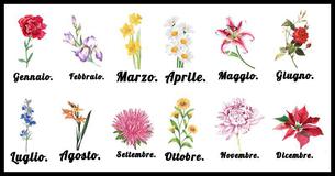 Lo Zodiaco Floreale che ti rivela chi sei veramente. 