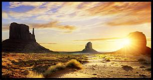 What Geographical Temperate Zone Do These Photos Belong To?