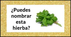 Solo el 5 % de las mujeres puede identificar de verdad las 13 hierbas más comunes
