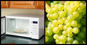 15 Foods You Should Never Put Into The Microwave