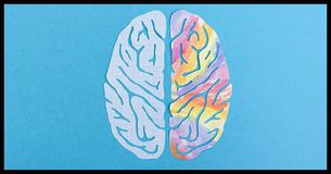 Are You Left-Brained Or Right-Brained? This Classic Color Test Will Tell You 