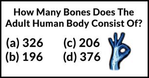 Only 3% Of Men Passed This Basic Human Anatomy Test. Can You?