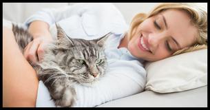 What Does It Mean When Your Cat Cuddles Up On The Couch With You?