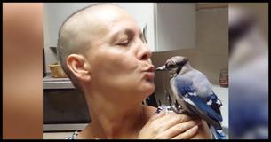 WATCH: This Rescued Blue Jay Visits His Hero Every Day, But That's Not Even The Best Part