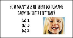 Only 3% Of American Adults Passed This 2nd Grade General Knowledge Test