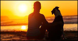 Which Puppy Is Your Actual Soulmate?