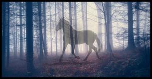 What Mythical Creature Are You Most Like?