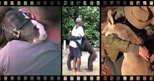 Heartwarming Video Of The Day: Humans Rescuing Animals