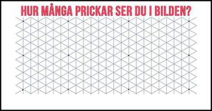 Hur många prickar ser du i bilden?