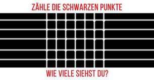 Können wir Deinen Verstand überlisten?