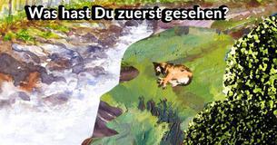 Was hast Du zuerst gesehen?