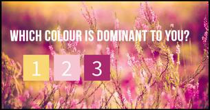 The Most Beautiful Test Will Determine Your Dominant Spiritual Color 